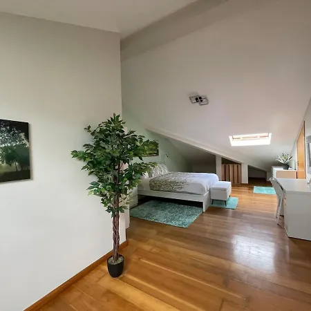 Picturesque Penthouse